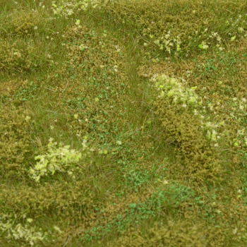 WILDGRAS NR.5  (110x195mm)