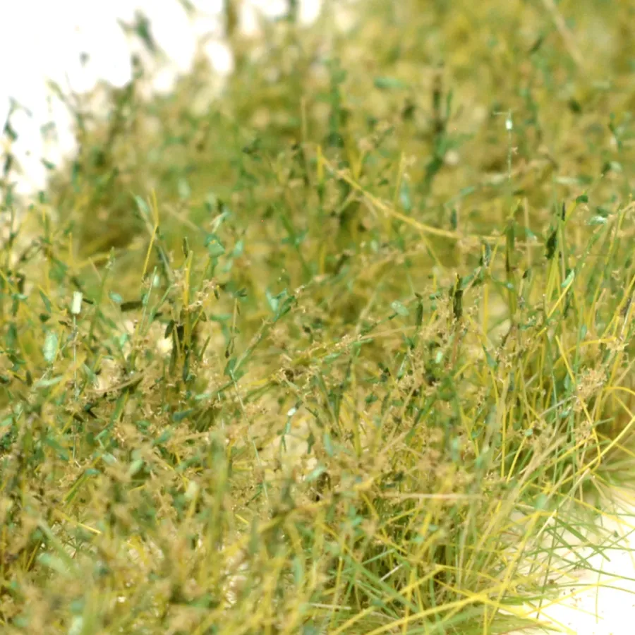 Preview: Hohe Wildgrasbüschel 12 mm – Buschgras - natürliche hohe Vegetation für Diorama und Tabletop Landschaften