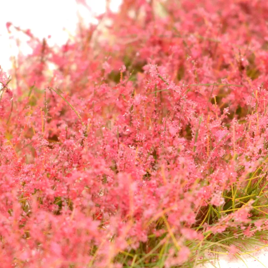 Preview: Hohe Wildgrasbüschel 12 mm – Heidekraut - natürliche hohe Vegetation für Diorama und Tabletop Landschaften