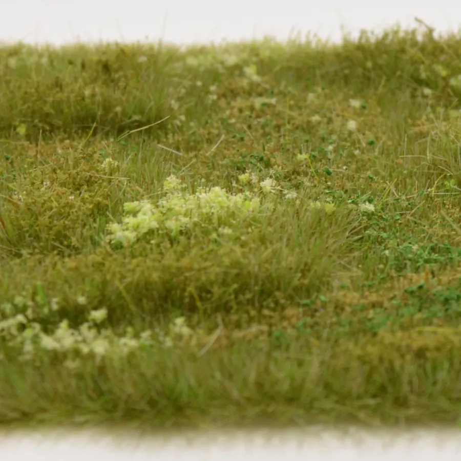 Preview: Busch- und Strauchgras ab 12 mm – Grasmatte - Sommerwiese - für realistische Diorama- und Modellbau-Szenen