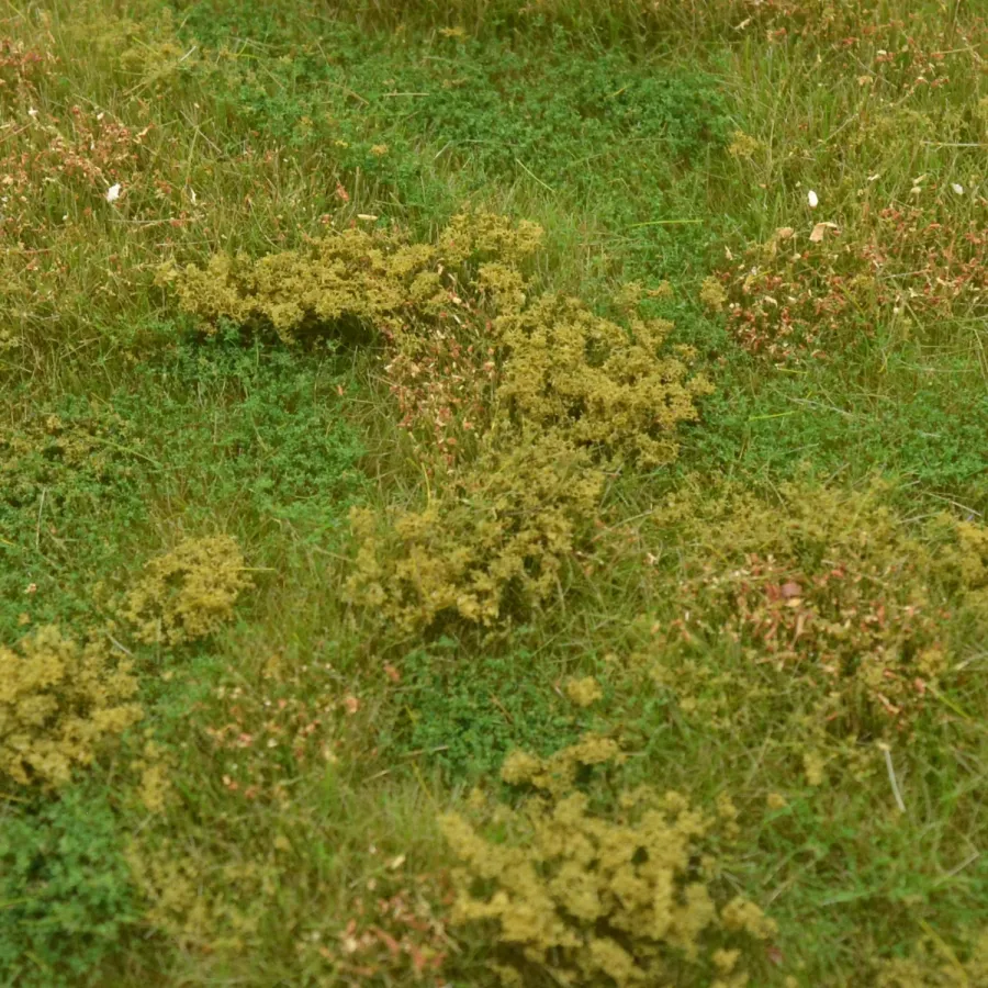 Preview: Busch- und Strauchgras ab 12 mm – Grasmatte - Erdgrund - für realistische Diorama- und Modellbau-Szenen