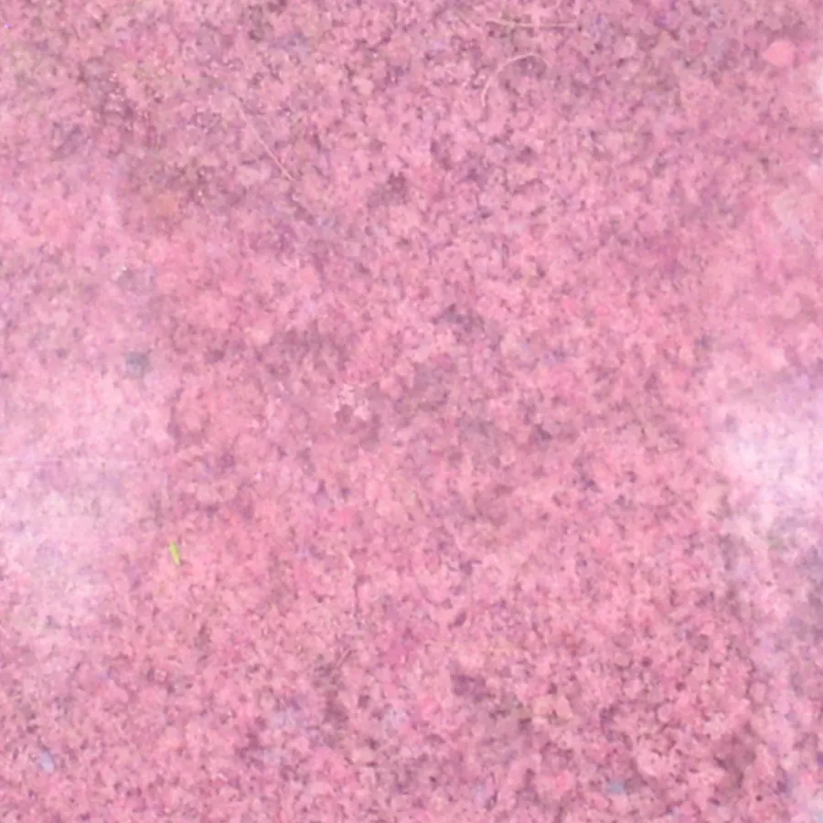 Preview: Flock – Streumaterial für realistische Beflockung - im Modellbau und Diorama Blütenflock - Bordeaux