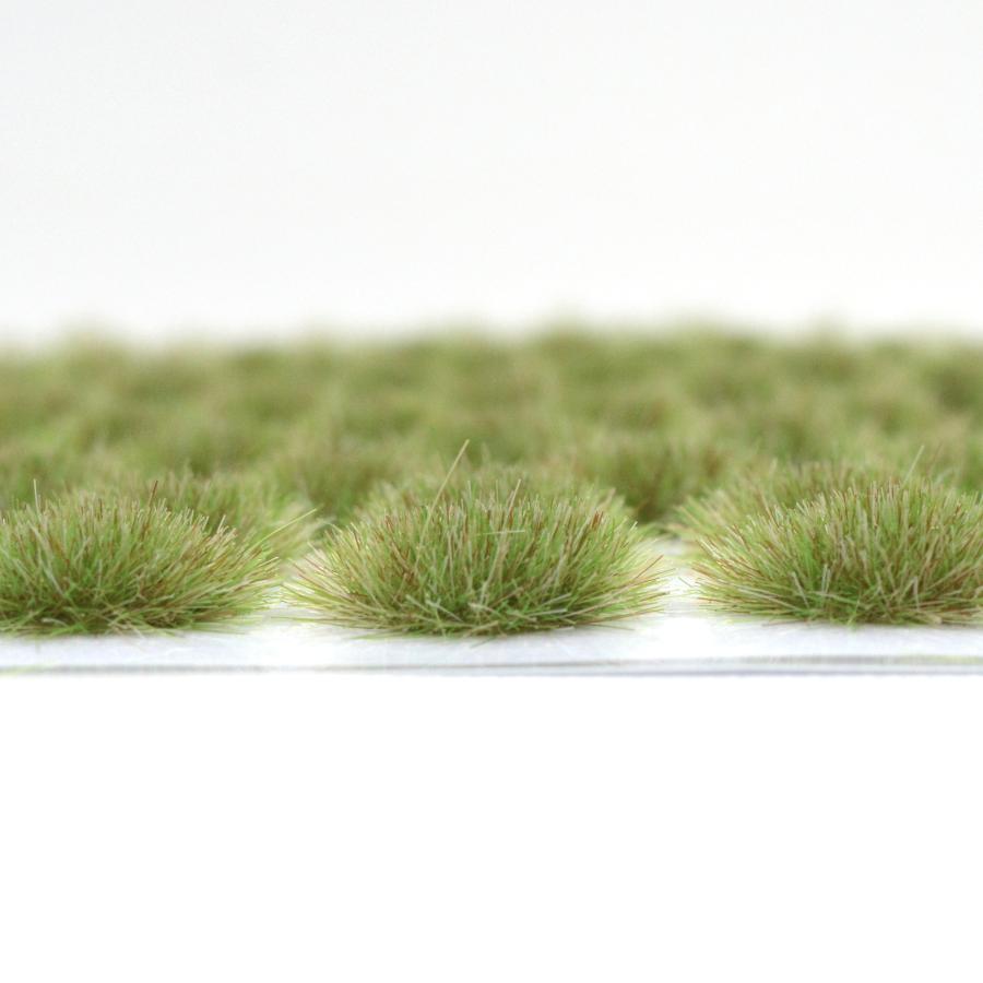 Preview: Wildgras Wiesenrand 6 mm – handgefertigte Grasbüschel für Diorama, Tabletop und Modelleisenbahn