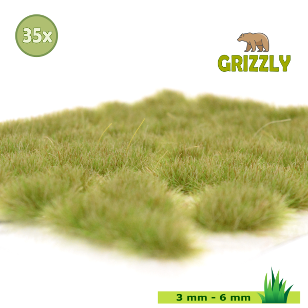 Grizzly Grass No.1