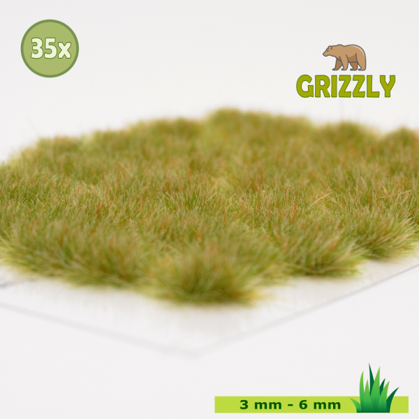 Grizzly Grass No.4