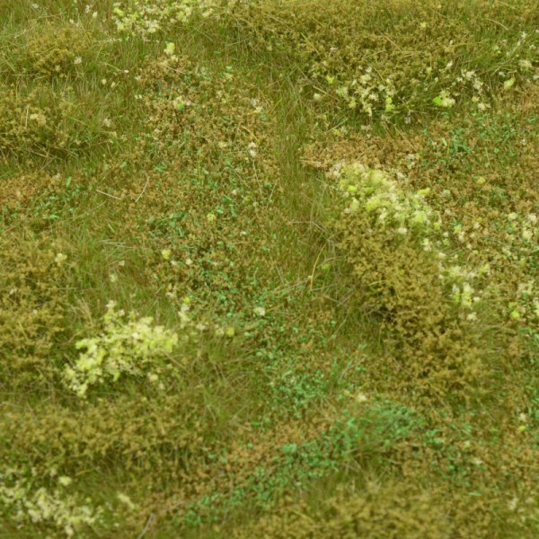 WILDGRAS NR.5  (110x195mm)