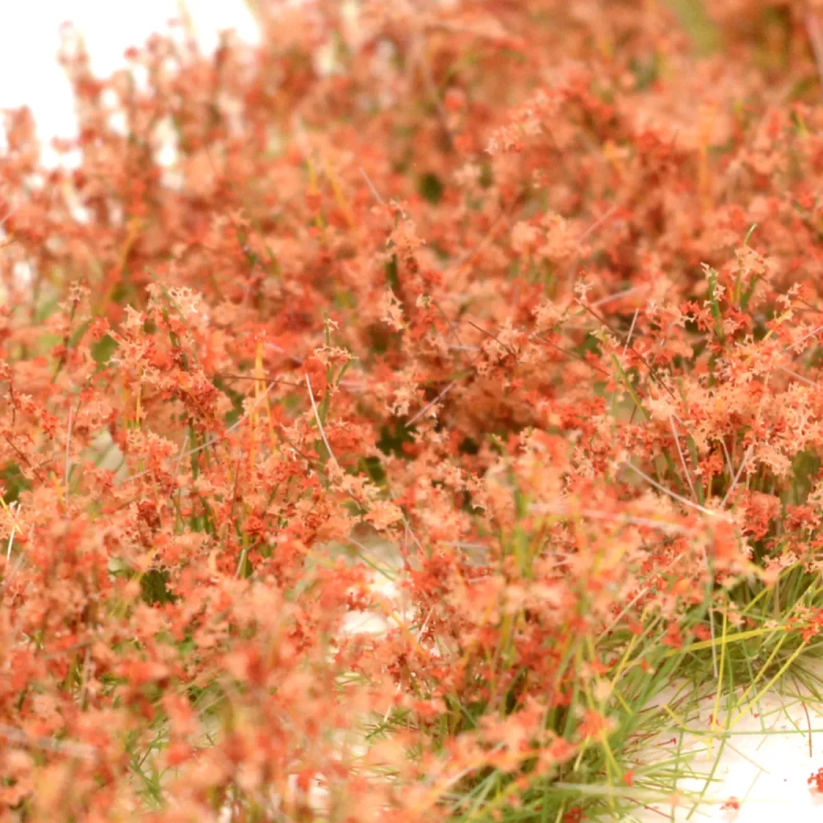 Hohe Wildgrasbüschel 12 mm – Herbstgold - natürliche hohe Vegetation für Diorama und Tabletop Landschaften