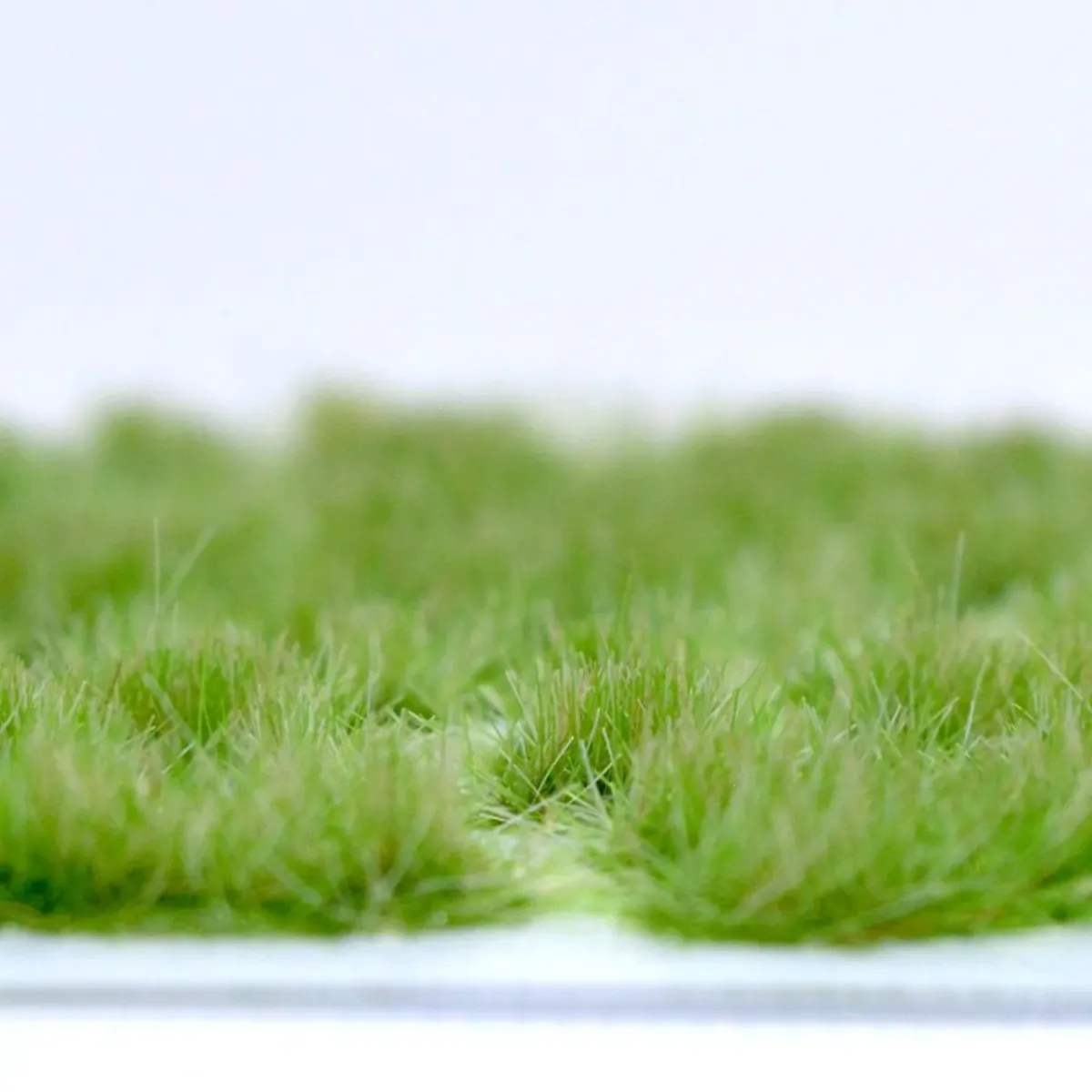 Klassische Grasbüschel 4–6 mm - Sommerprärie - realistische Standard-Vegetation für Modellbau und Tabletop GeländeKlassische Grasbüschel 4–6 mm - Sommerprärie - realistische Standard-Vegetation für Modellbau und Tabletop Gelände