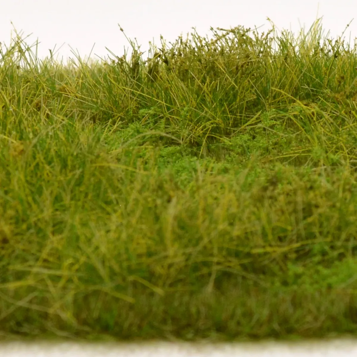 Busch- und Strauchgras ab 12 mm – Grasmatte - Wiesengrün - für realistische Diorama- und Modellbau-Szenen