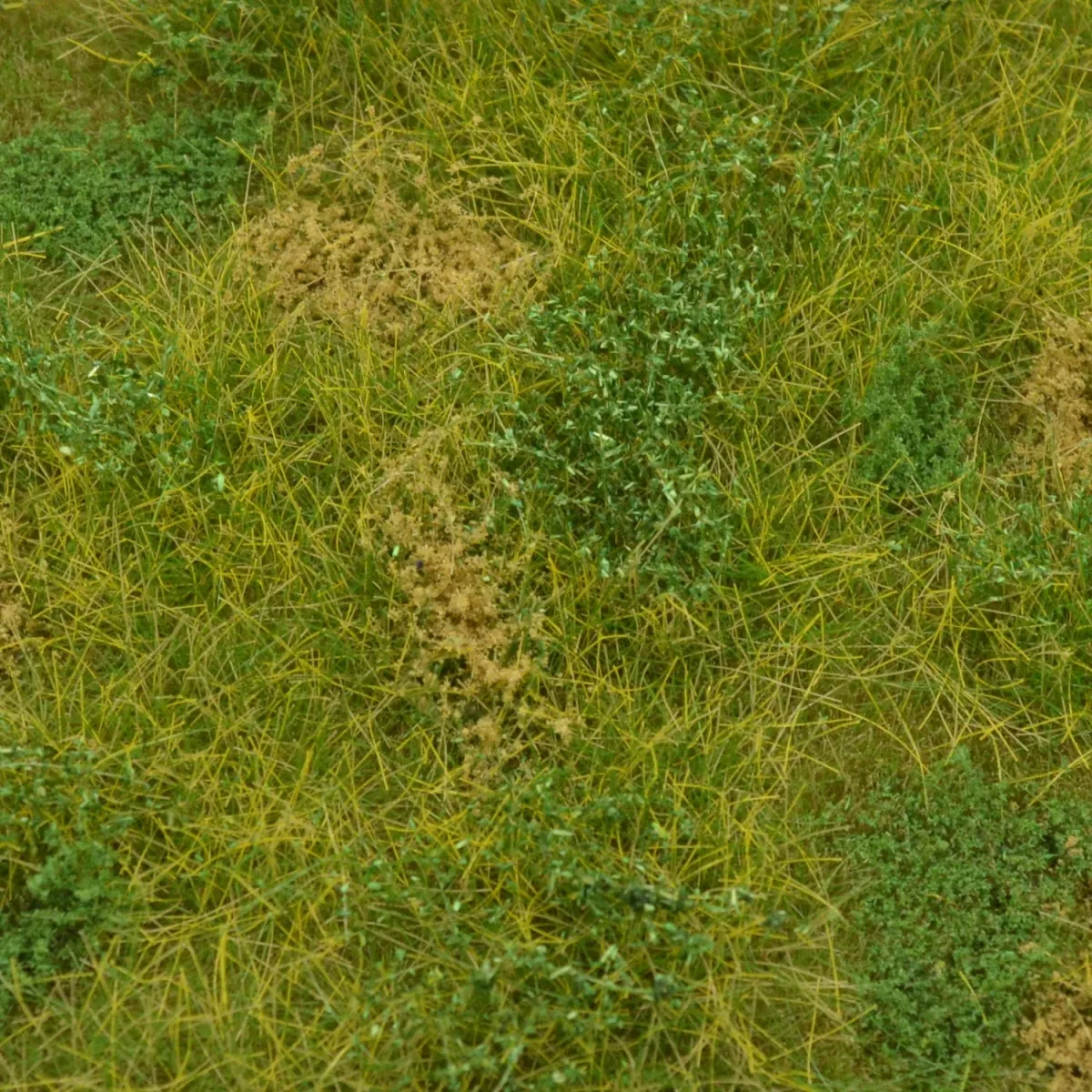 Busch- und Strauchgras ab 12 mm – Grasmatte - Wildland - für realistische Diorama- und Modellbau-Szenen