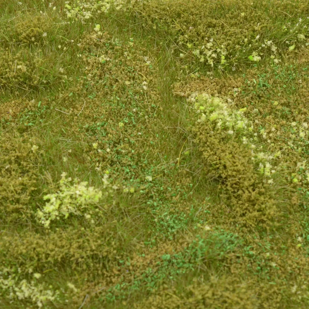 Busch- und Strauchgras ab 12 mm – Grasmatte - Sommerwiese - für realistische Diorama- und Modellbau-Szenen